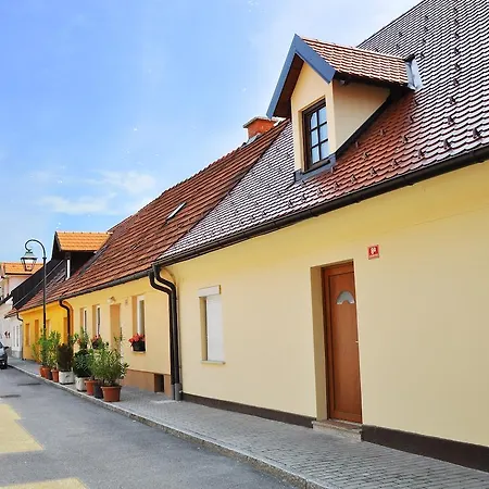 Gasa Apartment Brezice
